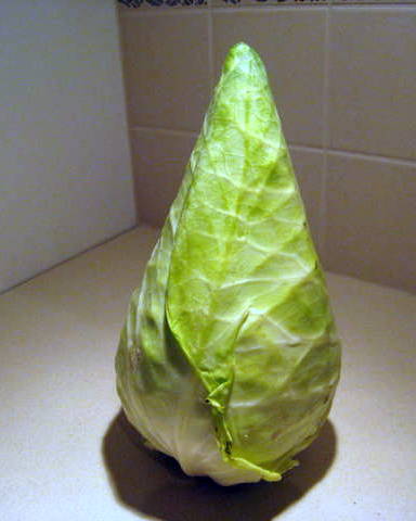 Средневековое застолье (Дню Повара посвящается!)