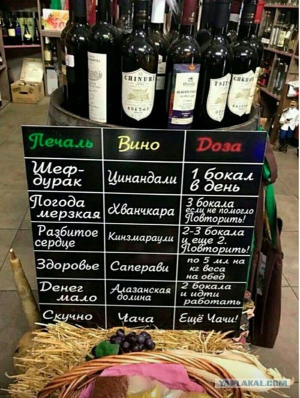 Прикольные надписи и объявления