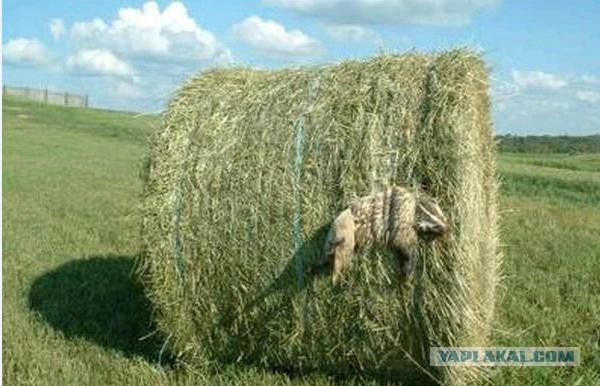 25 человек, которые потерпели полное фиаско на рабочем месте