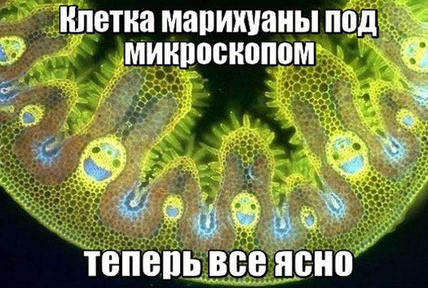 Подборка интересных и веселых картинок