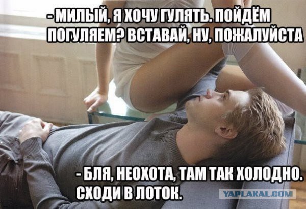 Опять обдолбался, паршивец!?