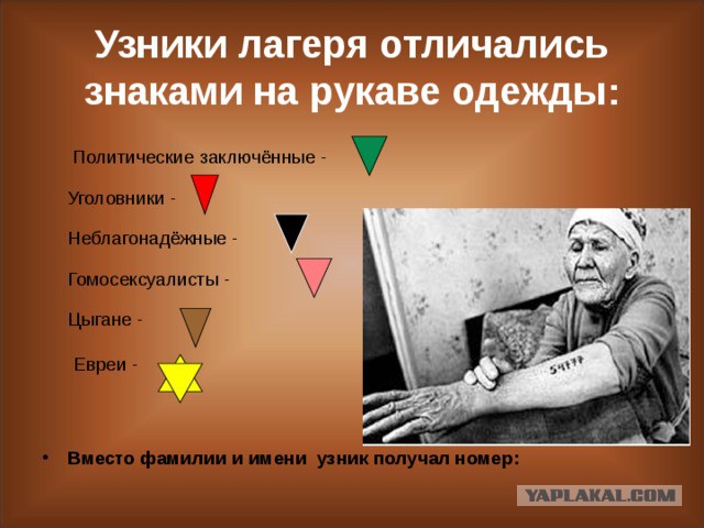 Пошутил, называется... Новосибирец получил срок за комментарий о мусульманах в соцсети «ВКонтакте»