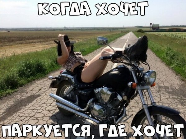 Прикольные картинки абавсём