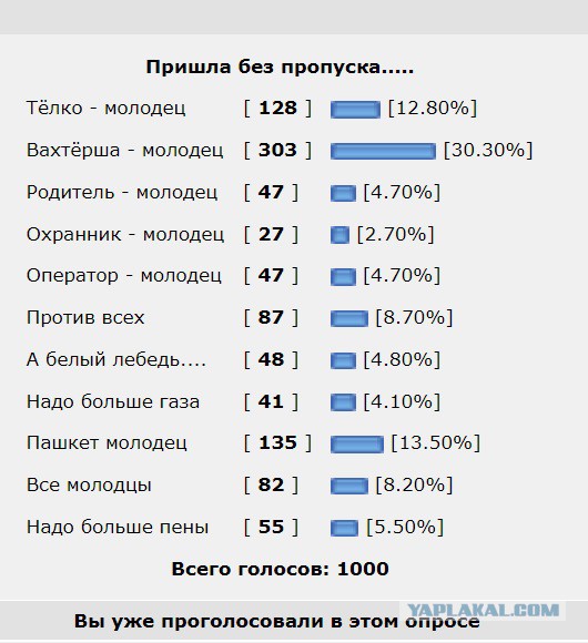 Пришла без пропуска.....