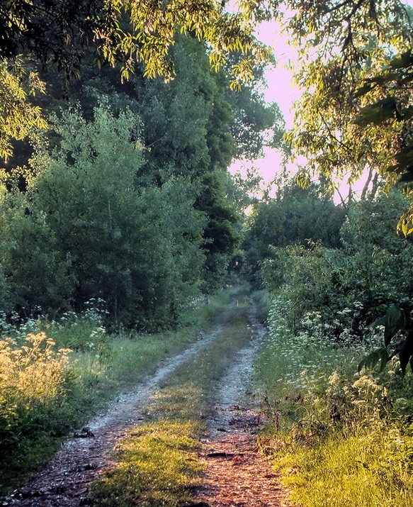 Красота сельских дорог