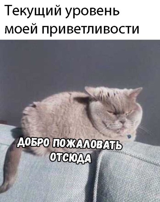 Немного картинок для настроения
