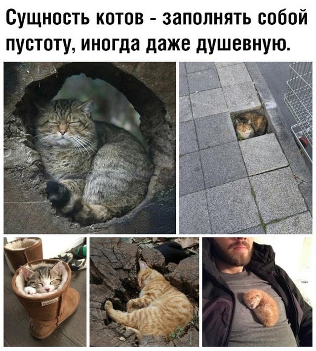 Немного картинок с надписями и без - 20