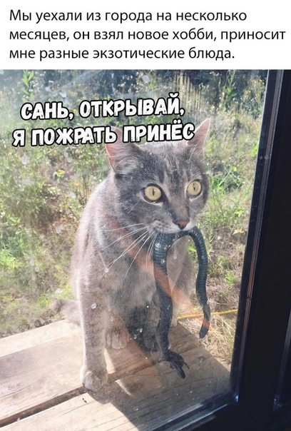 Чуток картинок 14.10.19