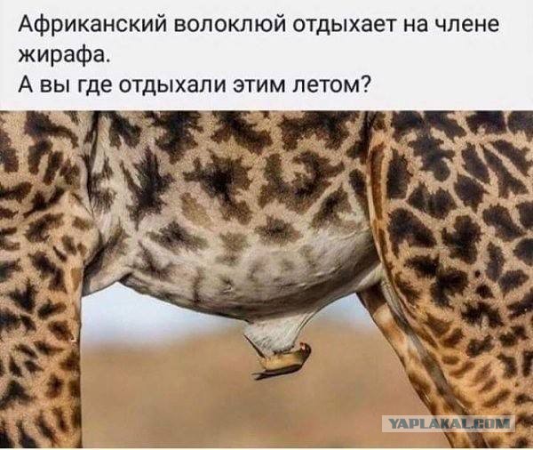 Немного картинок для настроения 07.12.19