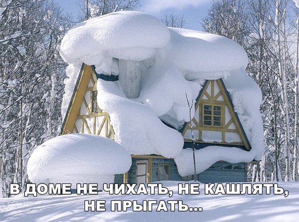 Немного картинок для настроения 12.02.20