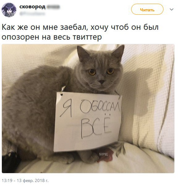 Чуток картинок 15.02.20