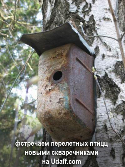 Это уже ни в какие ворота...
