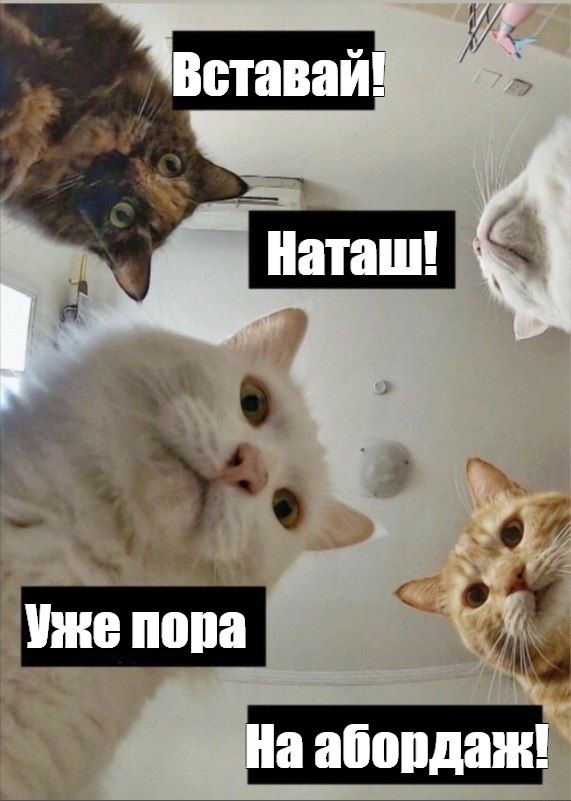 На злобу дня