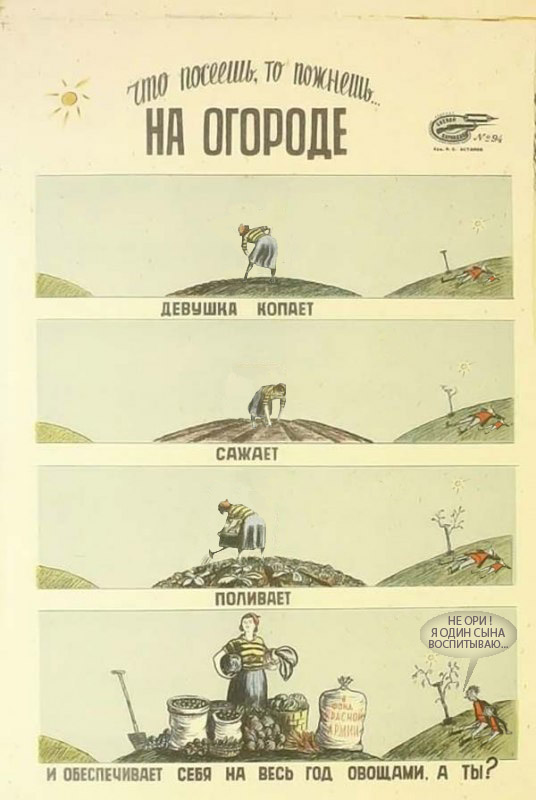 На огороде