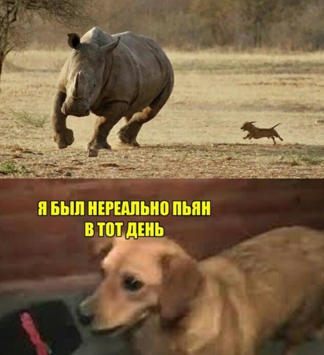 Не очень адекватный юмор