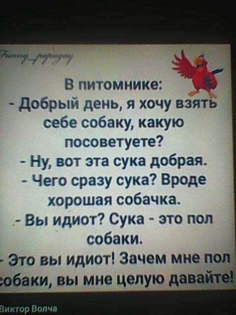 Бредзона 06.12.20