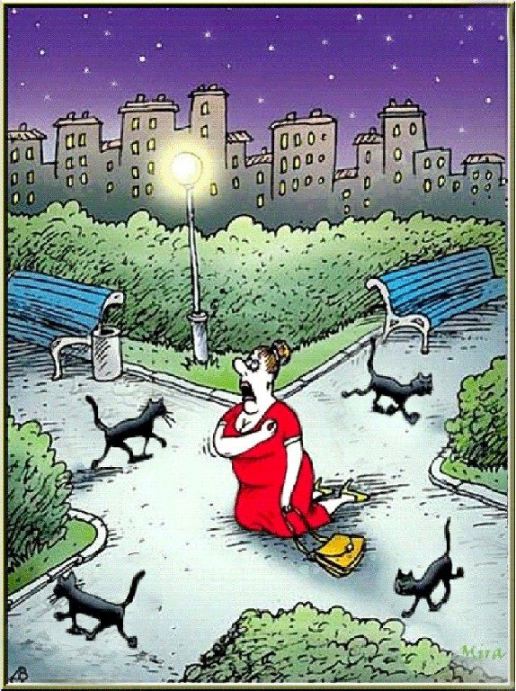 С котопятницей! Улыбнемся?