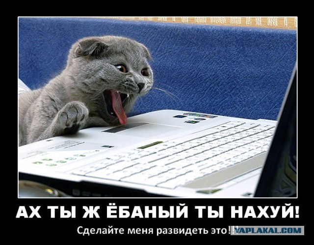 Его уже настигает "слава"