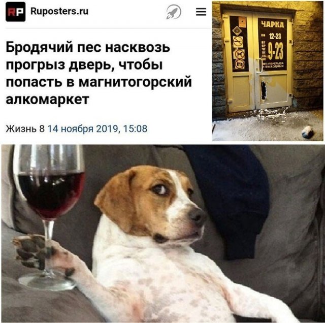 Алкопост выходного дня