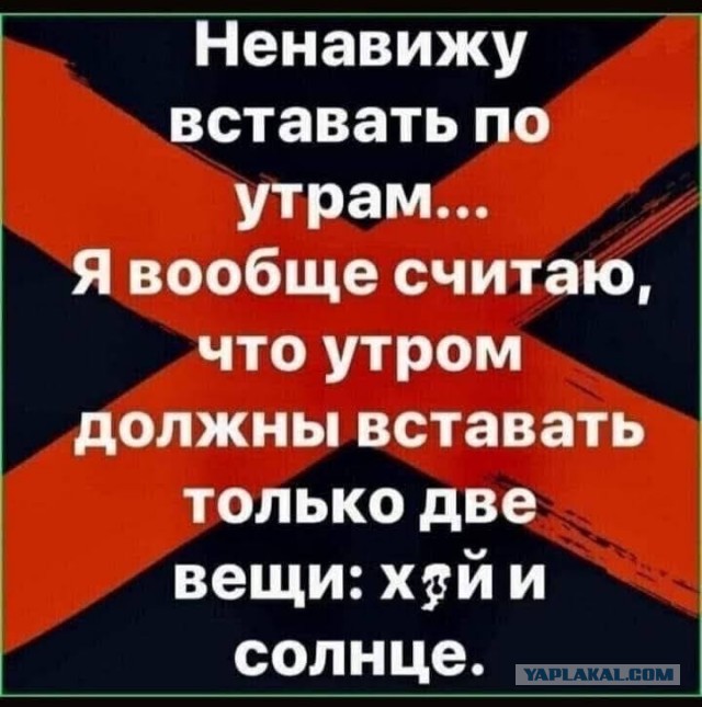 Всяческие картинки 09.07.2021
