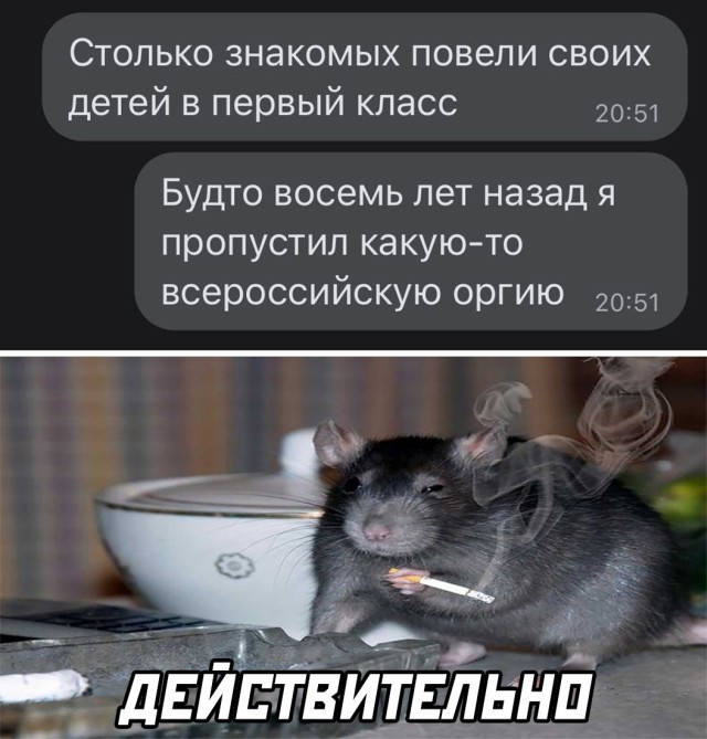 Бредзона 06.09.21