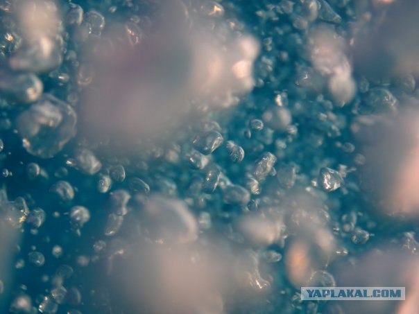 Любительская съемка под водой