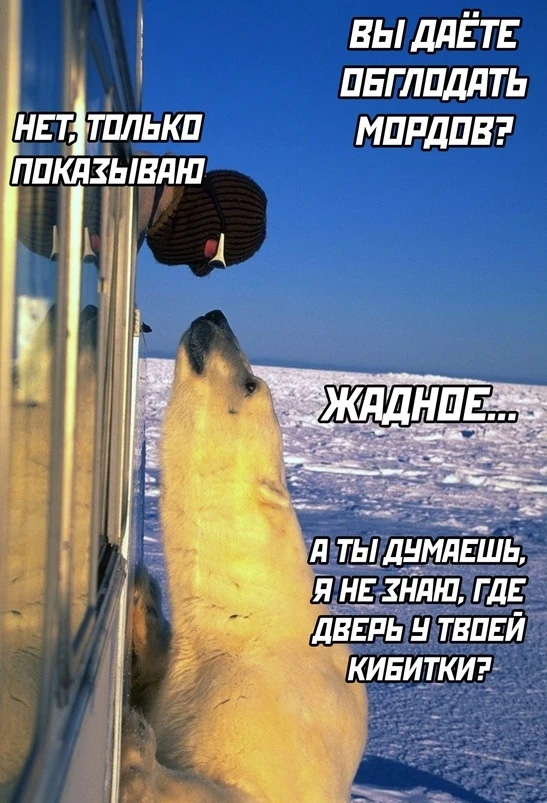 Немного картинок и прочей хреноты