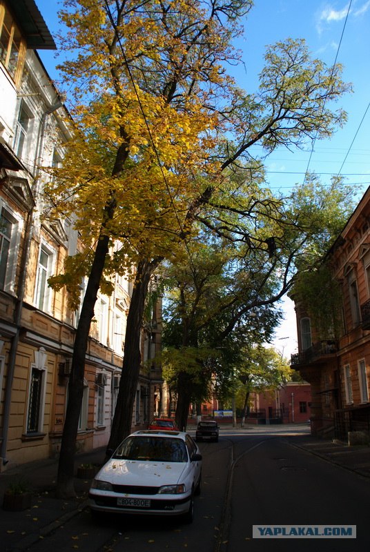 Зарисовки из Одессы