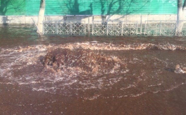 Выпуск легковых авто в России в мае упал на 96,7%
