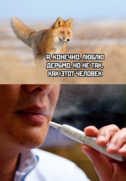 Картинки и мемы для настроения - 15