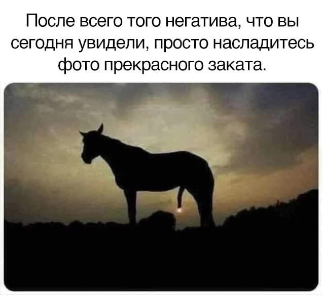 Картинки и мемы для настроения - 119
