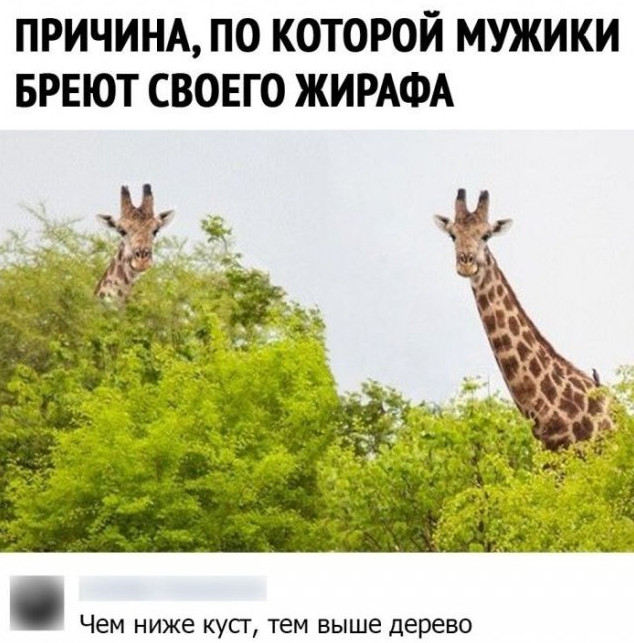 Картинки и мемы. Выходные близко...
