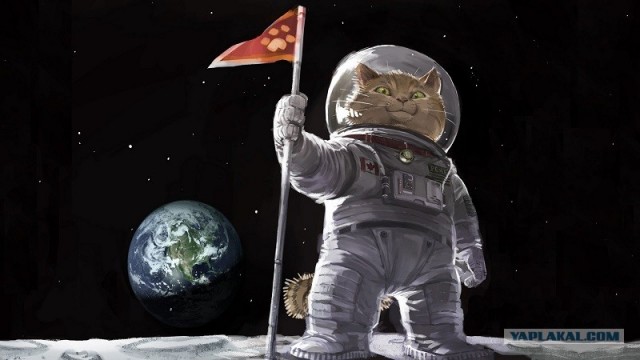 Корабль «Орион» приводнился в Тихом океане. Миссия «Артемида-1» завершена