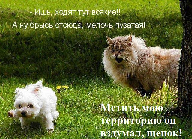 Картинки и мемы, всем хороших выходных