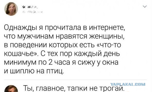 Забавные шутки и картинки из этих ваших интернетов