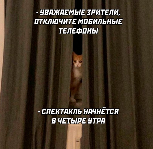 Немного картинок для настроения - 129
