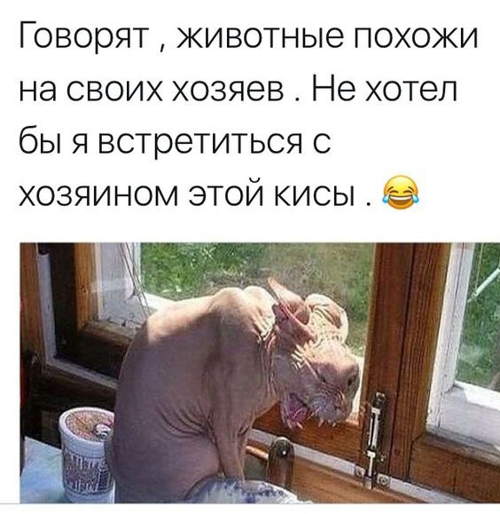 Так себе картинки 12.02.23