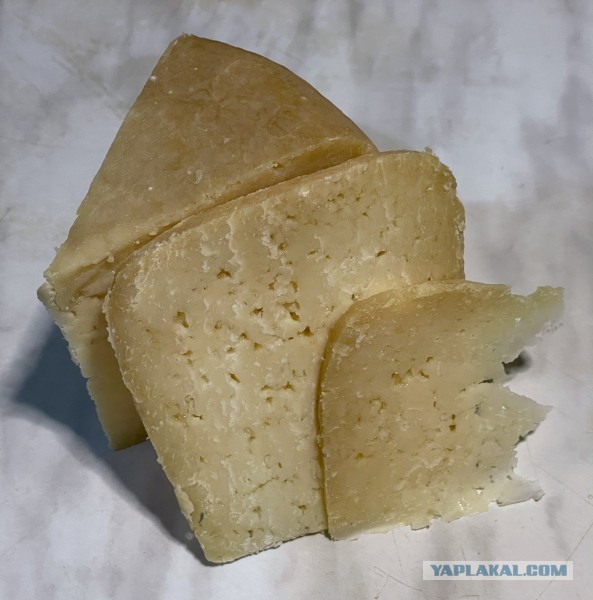 Сыр Маасдам