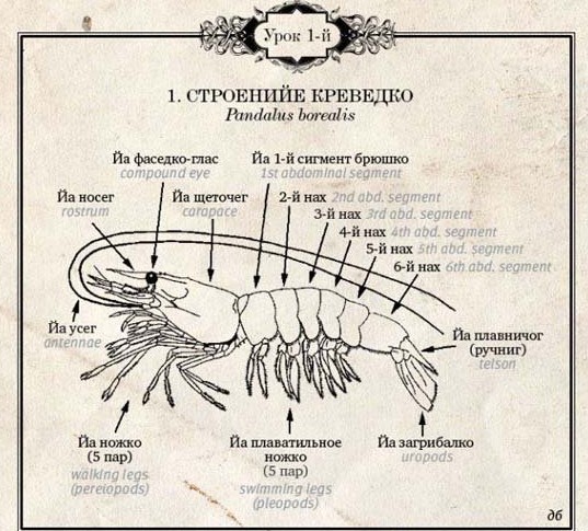 Это другое!⁠⁠