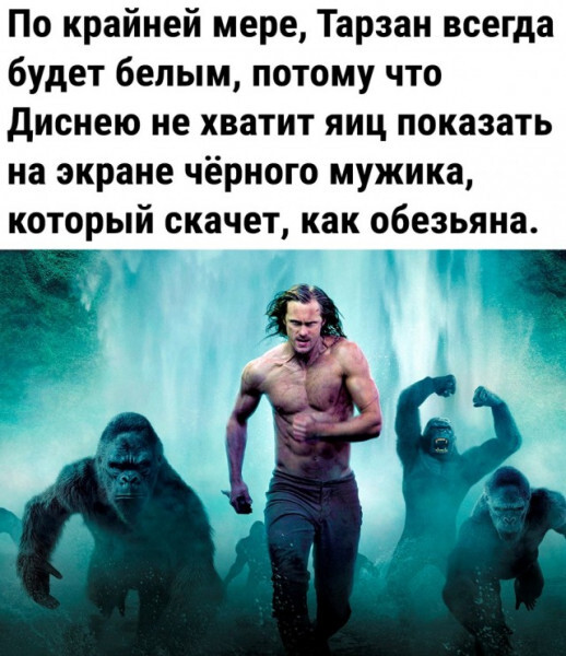 «Ну Погоди» обвинили в расизме