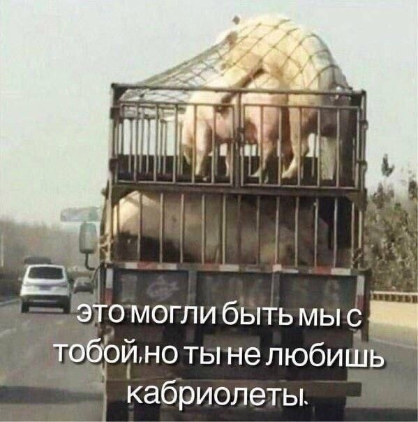 Забавные комментарии из социальных сетей (17.07.23)