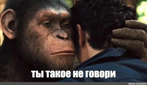 У каджита  есть товар