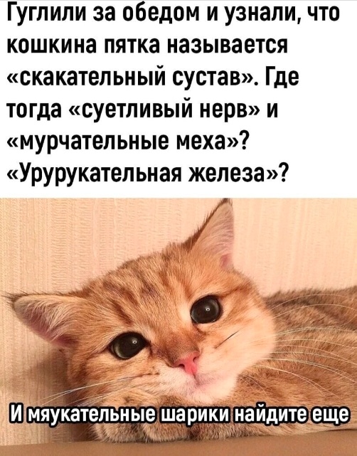Забавные комментарии из социальных сетей (14.08.23)
