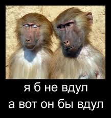 Интервью с Японской порно актрисой