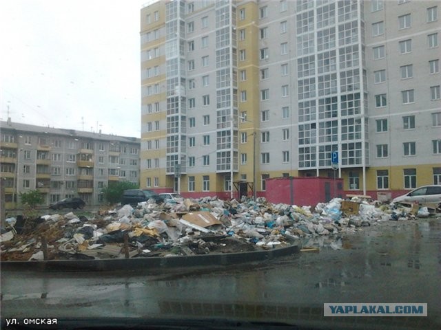 Зачем в городе нужна собака...