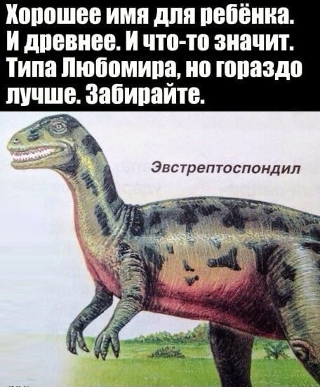 Так себе картинки 12.06.24