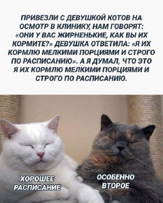 Картинки разные с надписями и без