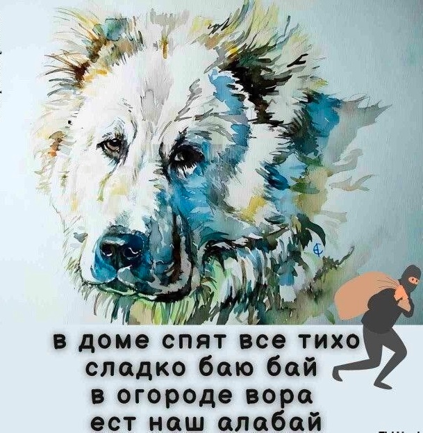 Весёлый полтишок 19.12.24