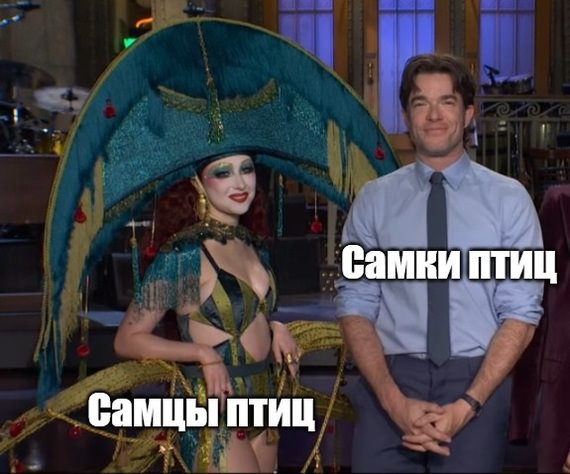 Веселые картинки в маленькую пятницу (09.04)