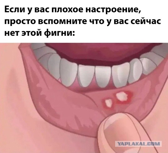 Весёлый полтишок 08.09.25